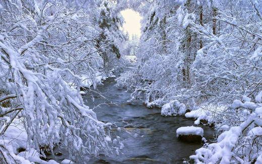 873421 (a): :1920x1200